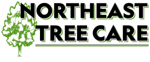 Sponsor Logo for Northeast Tree Care