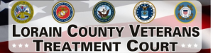 Logo for Hon. James T. Walther- Veterans Treatment Court