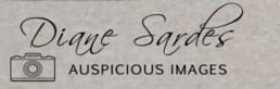 Sponsor Logo for Diane Sardes Auspicious Images