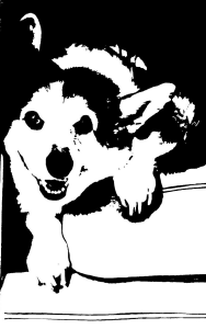 Sponsor Logo for Bert