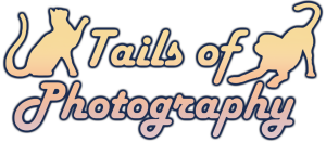 Sponsor Logo for Tails of Photography