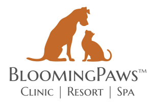 Sponsor Logo for BloomingPaws