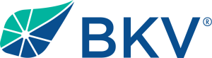 Sponsor Logo for BKV