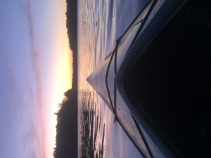 Sponsor Logo for Wissahickon Home Repair