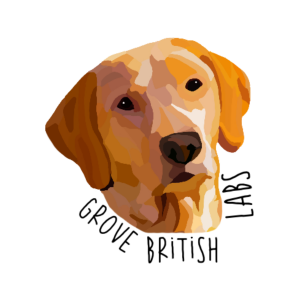 Sponsor Logo for Grove British Labs