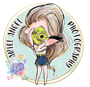 Sponsor Logo for Ariel