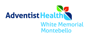 Sponsor Logo for AdventistHealth