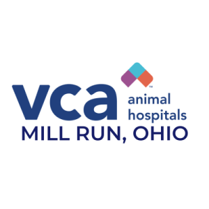 Sponsor Logo for VCA