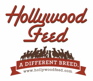 Partner Logo for Hollywood Feed