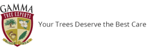 Sponsor Logo for Gamma Tree Experts