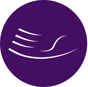 Logo for Palmercare Chiropractic