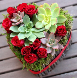 Valentine's Succulent Arrangement home