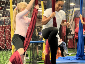 Intro to Aerial Silks (5 Weeks Sunday) home