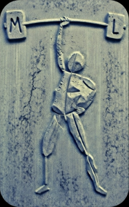 Logo for Mobility Lab Sport and Rehab