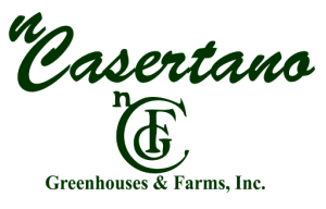 Sponsor Logo for Casertano