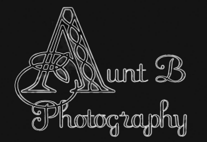 Sponsor Logo for Aunt B Photography