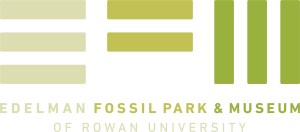 Sponsor Logo for EFM