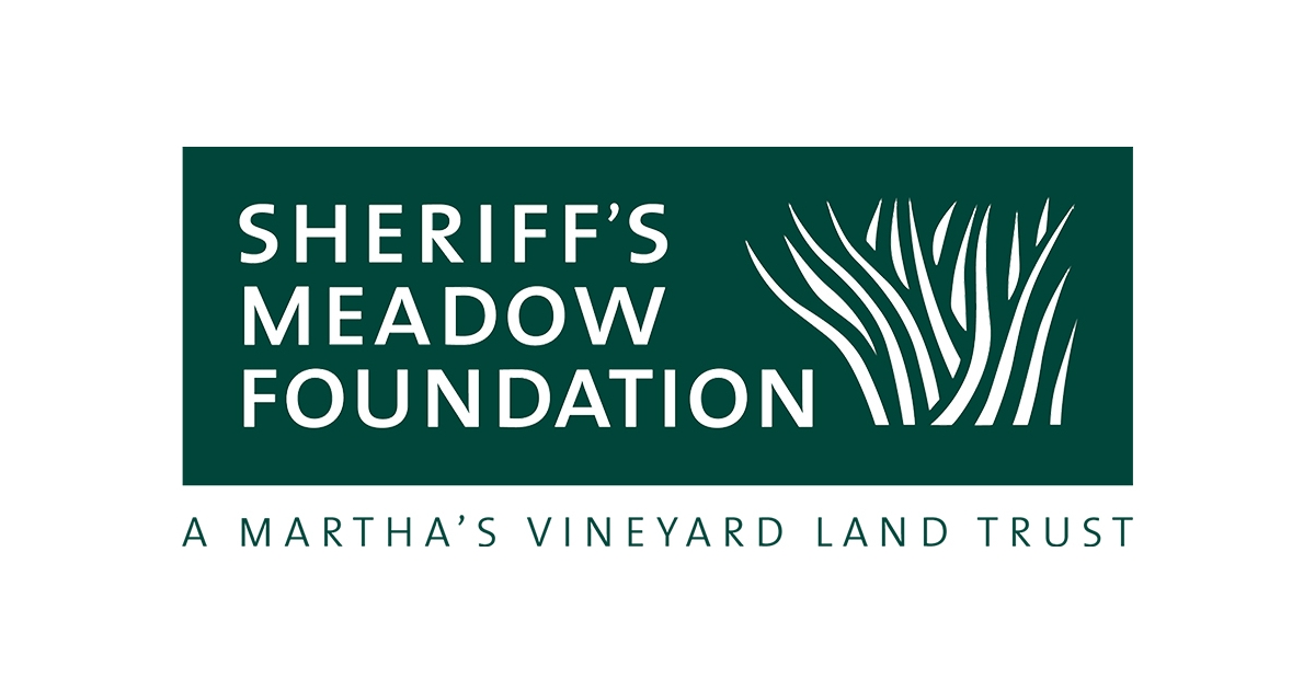 Sheriff's Meadow Foundation Fourth Annual Trail Run, photo 2 of 7