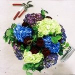 Sponsor Logo for Madison Flower Shop
