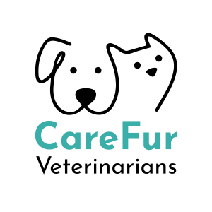 Sponsor Logo for Carefur