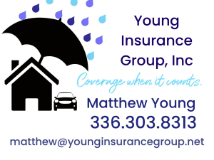 Sponsor Logo for Young Insurance Group, Inc.