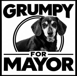 Sponsor Logo for Grumpy For Mayor