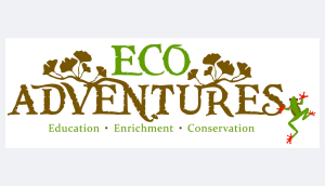 Sponsor Logo for Eco Adventures