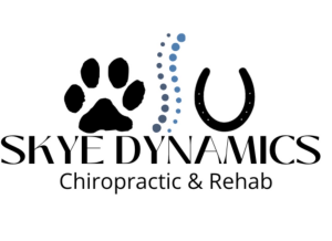 Sponsor Logo for Skye Dynamics