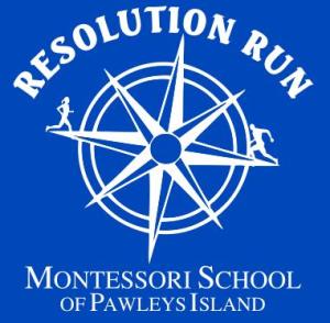 Resolution Run 2015