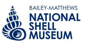 Sponsor Logo for Bailey-Matthews Shell Museum