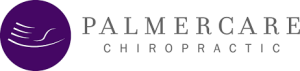 Logo for Palmercare