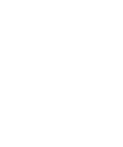 Sponsor Logo for LMNT