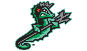 Sponsor Logo for Norfolk Tides