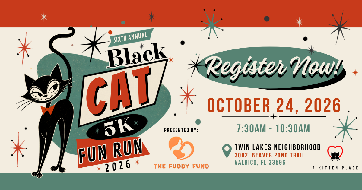 A Kitten Place Black Cat 5K Fun Run, photo 2 of 8