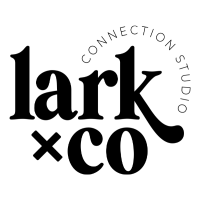 Sponsor Logo for Lark Studios