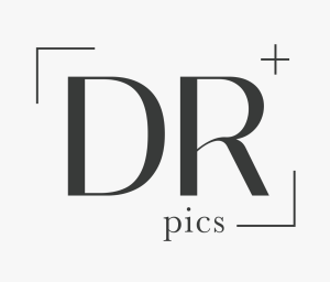 Sponsor Logo for Roncaratipics