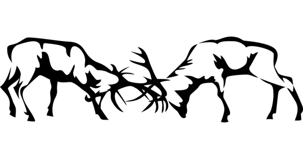 Avon Elk River Run 1m/5k Race Insurance