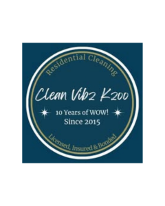Sponsor Logo for Clean Vibez Kzoo