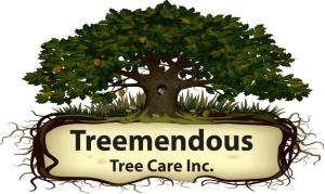 Sponsor Logo for Treemendous Tree Care