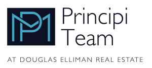 Sponsor Logo for PRINCIPI TEAM