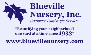 Sponsor Logo for Blueville Nursery