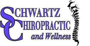 Sponsor Logo for Schwartz Chiropractic and Wellness