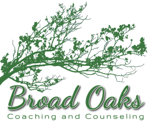 Sponsor Logo for Broad Oaks Counseling and Coaching