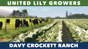 Sponsor Logo for United Lily Growers/Davy Crockett Ranch
