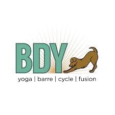 Sponsor Logo for BDY Studios