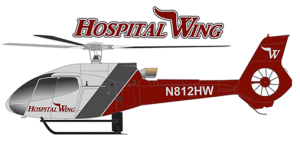 Sponsor Logo for Hospital Wing