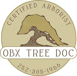 Sponsor Logo for OBX Tree Doc