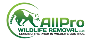 Sponsor Logo for All Pro