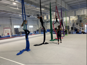 Intro to Aerial Silks (5 Weeks Sunday) home