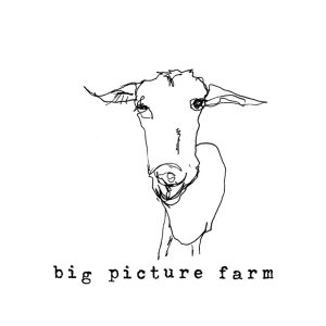 Logo for Big Picture Farm